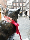 Staute of Hodge the cat facing Dr Johnson's House